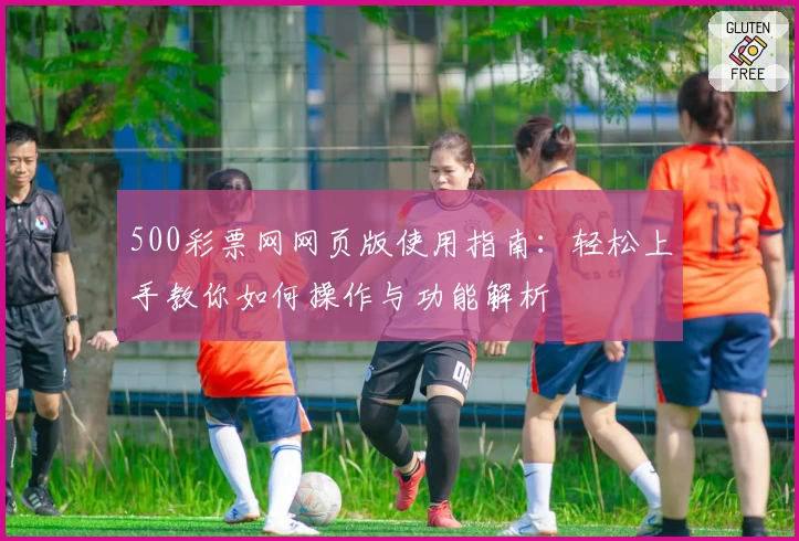 500彩票网网页版使用指南：轻松上手教你如何操作与功能解析